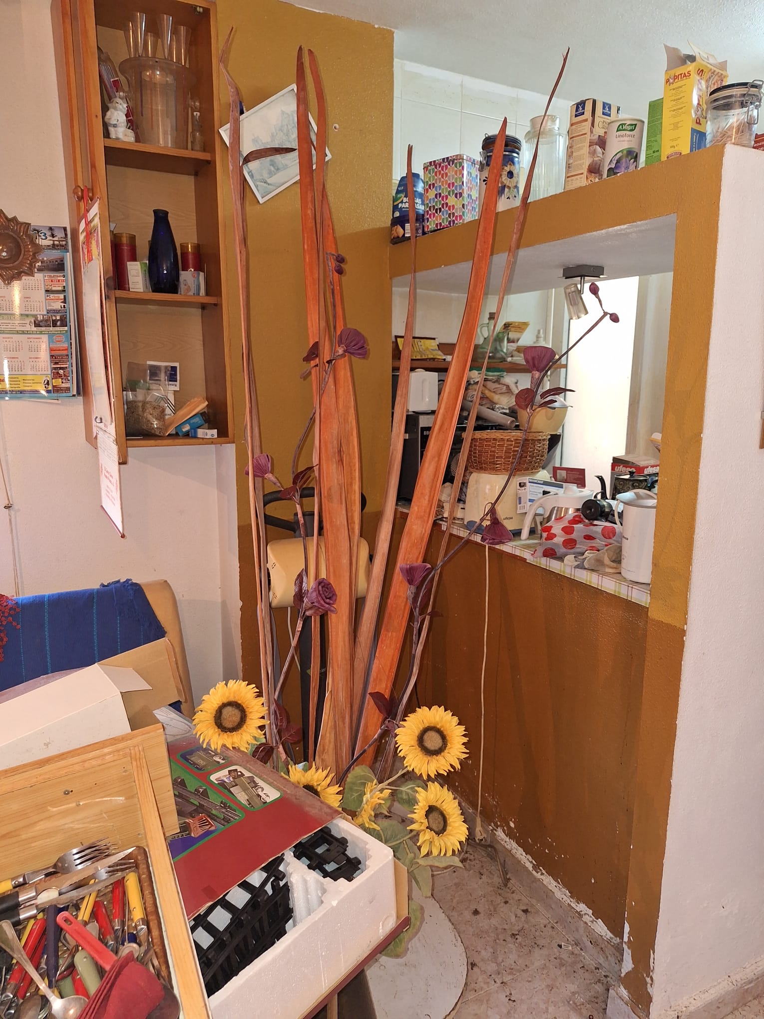Limpieza de síndrome de Diógenes y vaciado en Elche por especialistas profesionales
